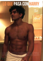 LO QUE PASA CON HARRY xr:d:DAE2Ad4fwNE:394,j:3968084388359194917,t:23122218