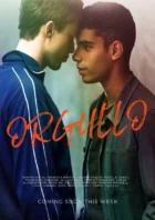 ORGULLO Fiertes Orgullo serie gay francesa completa